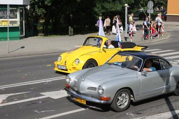 Zdjęcie 251