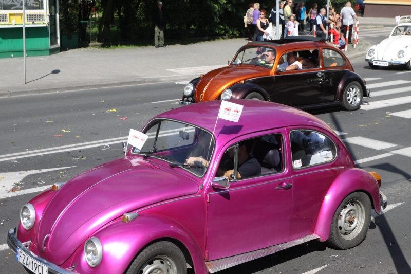 Autorzy zdjęć: loona i lechu – zdjęcie 252