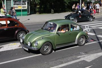Zdjęcie 253