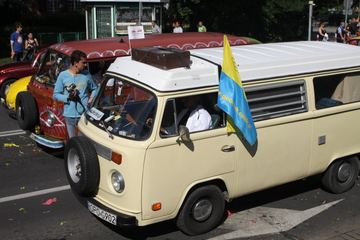 Zdjęcie 255