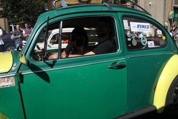 Zdjęcie 260