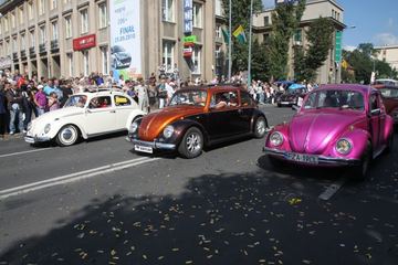 Zdjęcie 263