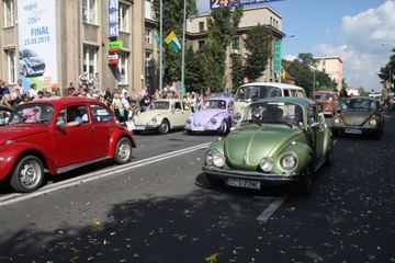 Zdjęcie 264