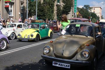 Zdjęcie 265