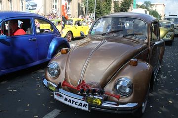Zdjęcie 267