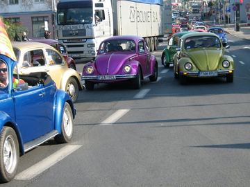 Zdjęcie 27