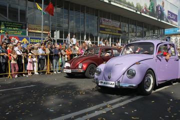 Zdjęcie 273