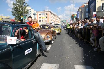 Zdjęcie 289