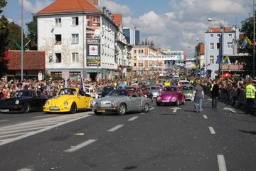 Zdjęcie 290
