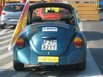 Zdjęcie 31