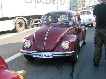 Zdjęcie 36