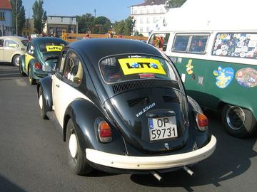 Zdjęcie 41