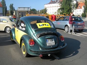 Zdjęcie 42