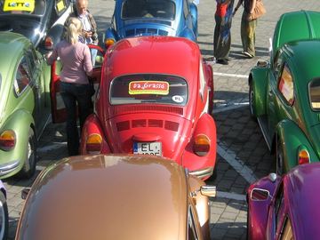 Zdjęcie 63