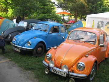 Zdjęcie 35