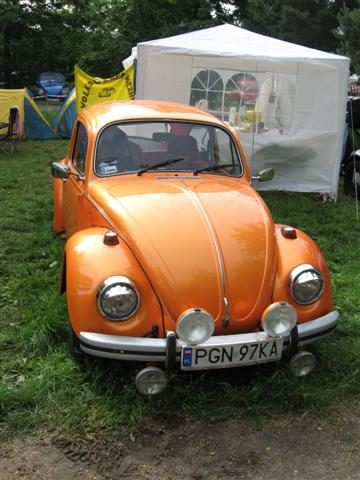 Przybrodzin 2010 – zdjęcie 4