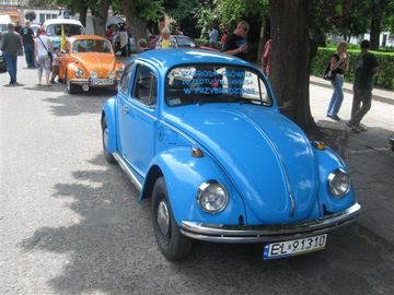 Zdjęcie 49