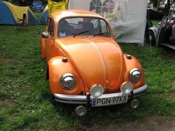 Zdjęcie 5