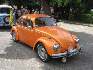 Zdjęcie 50