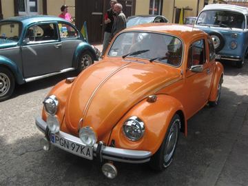 Zdjęcie 51