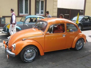 Zdjęcie 54