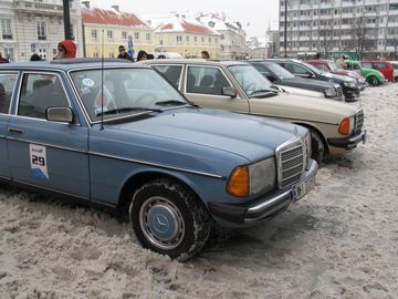 Zdjęcie 12