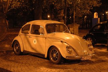 Zdjęcie 51
