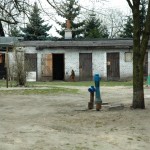 bgc 2012 1 (13)
