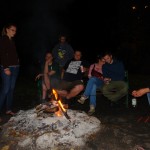 gd_2011_17