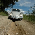 kaczarnica2010b