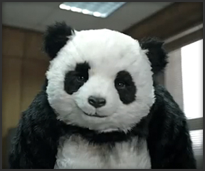 092210_never_say_no_to_panda_t