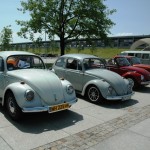 Xlecie kruz 2013_ (2)
