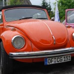garbojama 2013 (14)