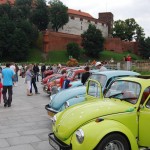 garbojama 2013 (16)